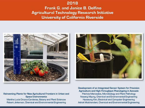 2018 Delfino Initiative Project