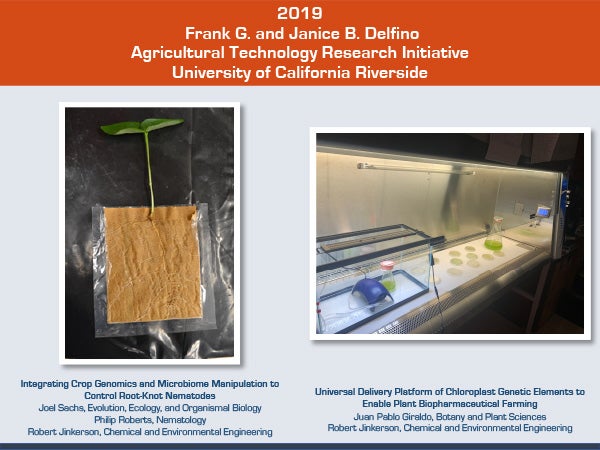 2019 Delfino Initiative Project