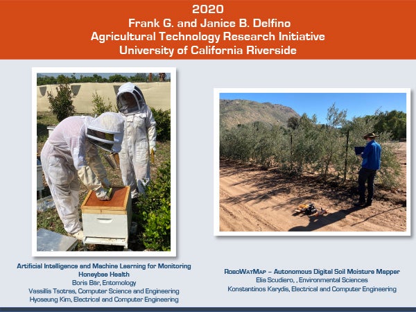 2020 Delfino Initiative Project