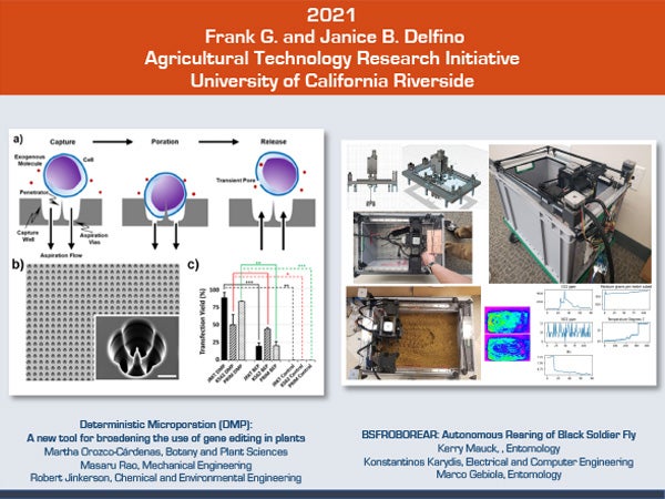2021 Delfino Initiative Project