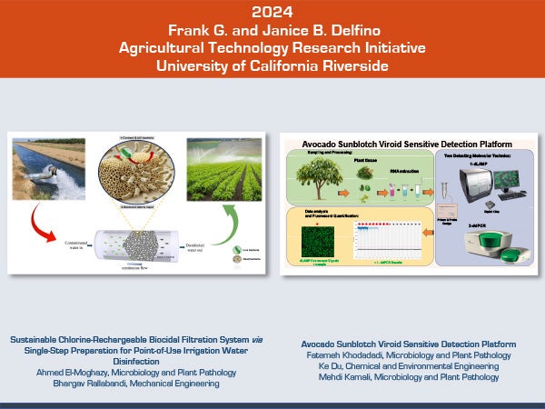 2024 Delfino Initiative Project
