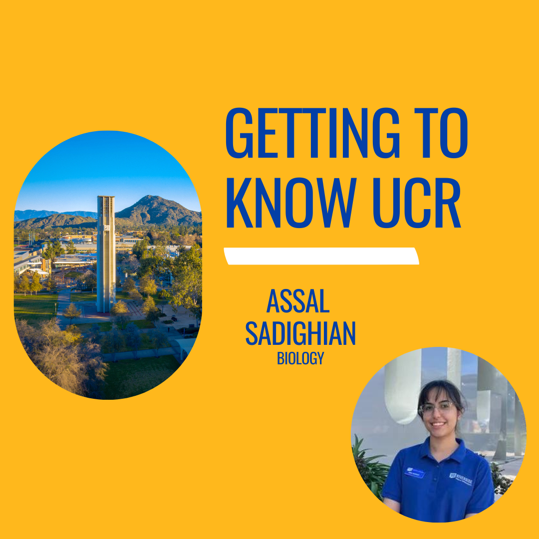 Assal Sadighian Getting to Know UCR