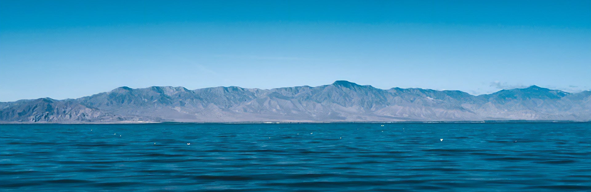 We Are Not Alone: The Salton Sea Challenge