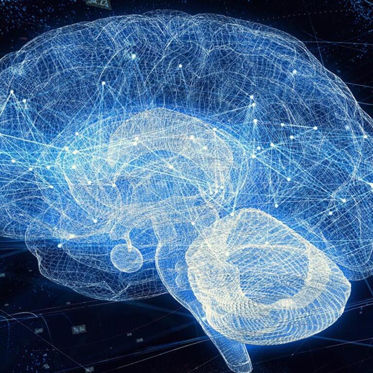 ucr neuroscience
