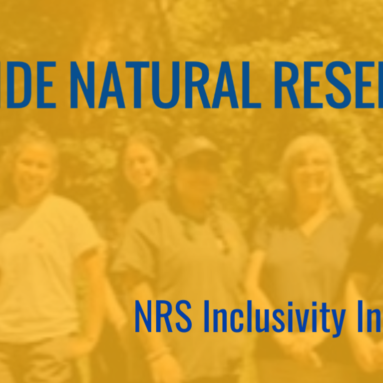 NRS Internship Header