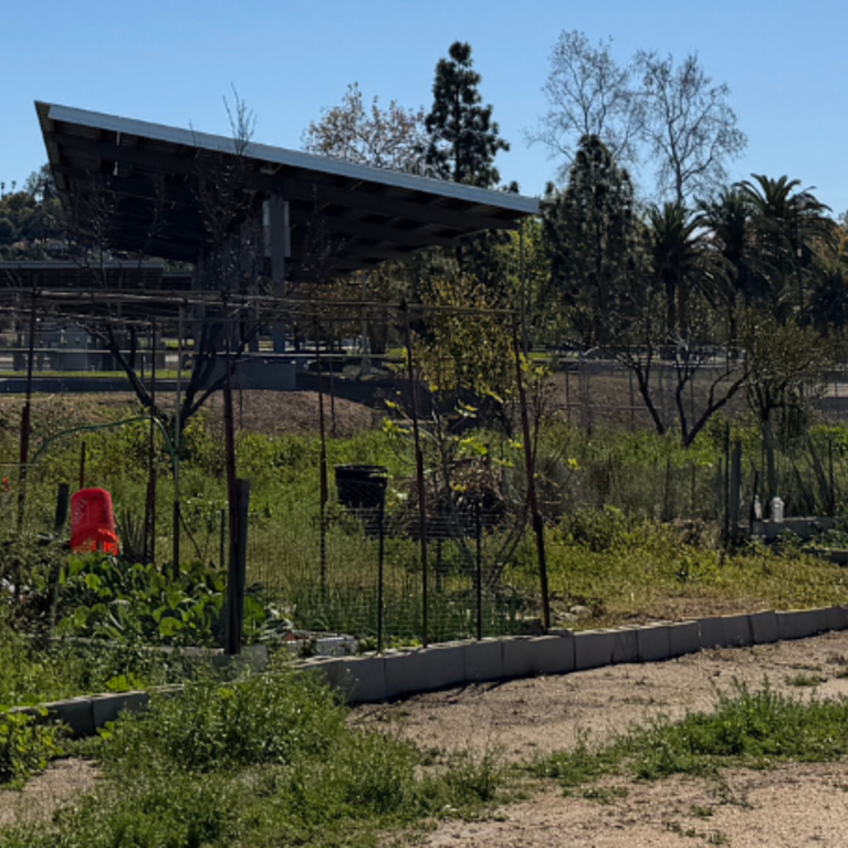 UCR students and staff at the R'Garden