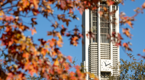 Bell Tower with fall leaves