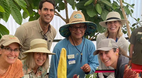 Jodie Holt Photo Collage with Corpse Flower