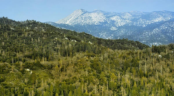 UCR Natural Reserves