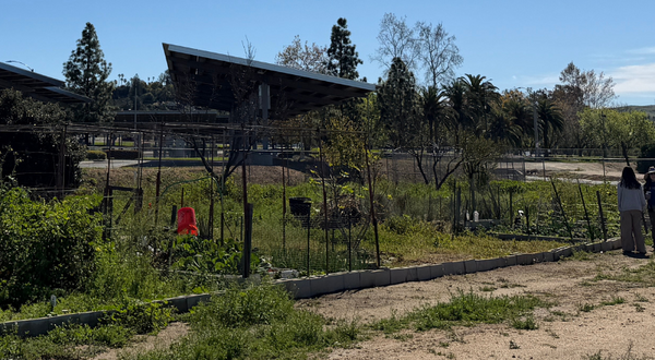 UCR students and staff at the R'Garden