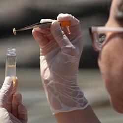 Undergraduate Majors Biology Forensics