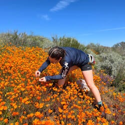 Undergraduate Majors Entomology Student in Wildflowers