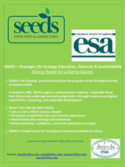 SEEDS Mentorship Program Flyer