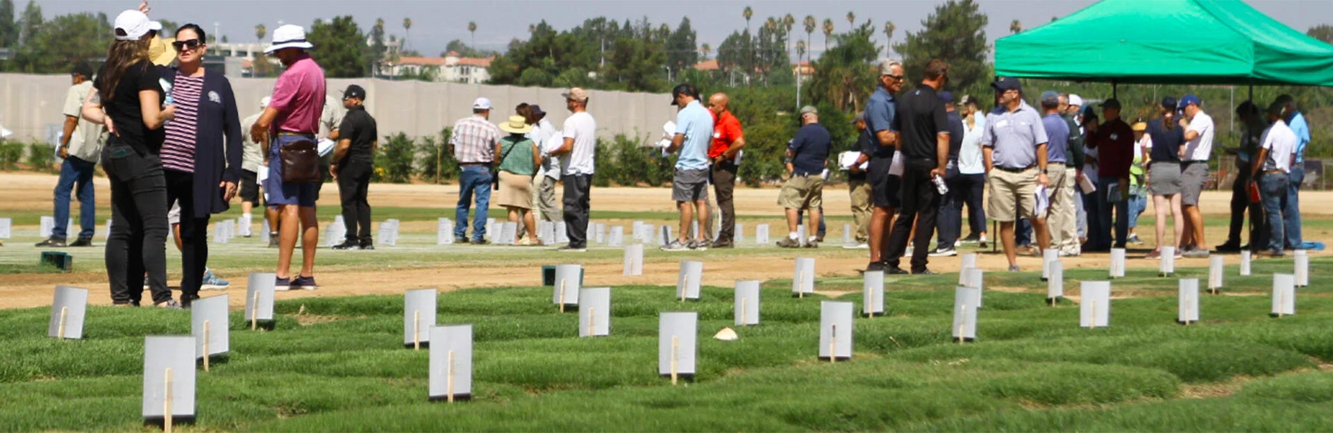 2025 Turfgrass and Landscape Research Field Day